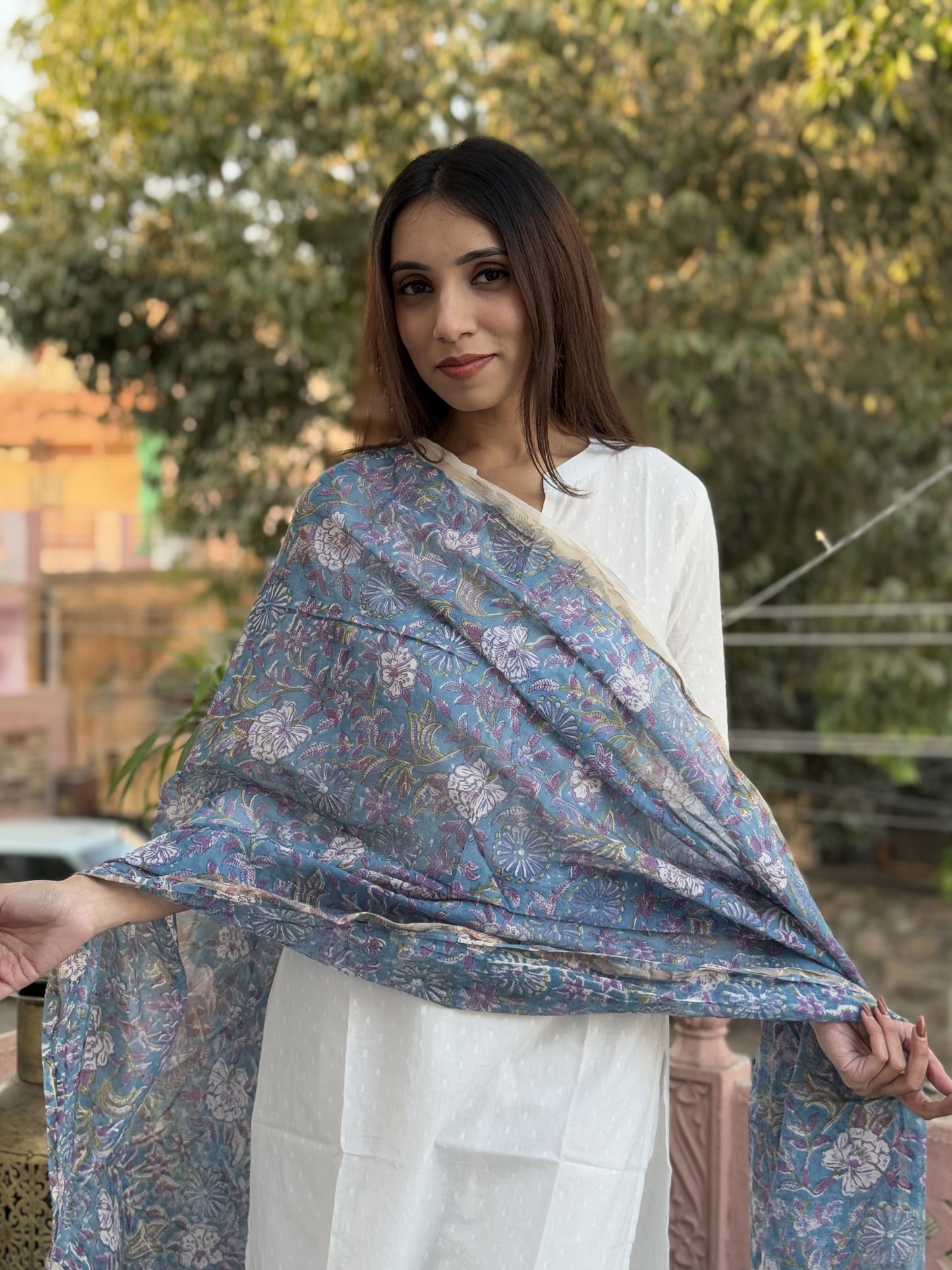 Chanderi Silk Dupatta Blue